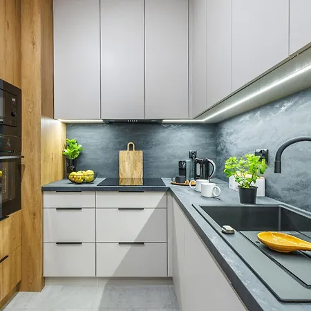 Apartment Emihouse Riverside Business In The Heart Of Rzeszow